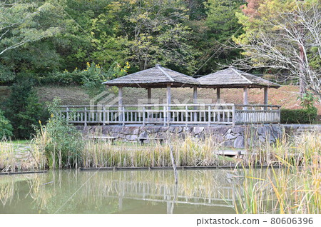 有馬富士公園 有馬富士公園 80606396