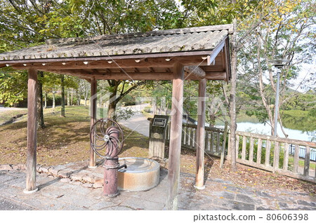 有馬富士公園 有馬富士公園 80606398