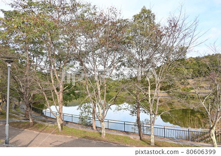 有馬富士公園 有馬富士公園 80606399