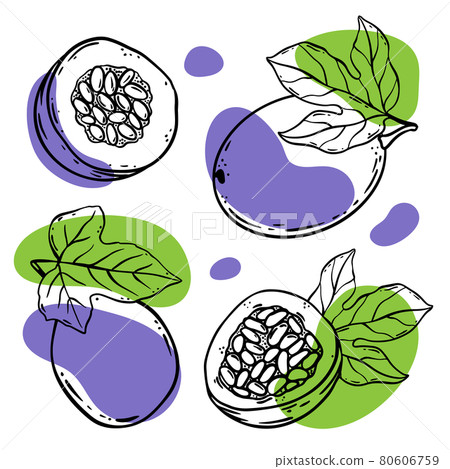 PASSION FRUIT Delicious Dilicacy Whole And Slices With Leaves For Design Of Organic Natural Products Shop And Dessert Drinks In Sketch Style Vector Illustration Set PASSION FRUIT Delicious Dilicacy Whole And Slices With Leaves For Design Of Organic Natural Products Shop And Dessert Drinks In Sketch Style Vector Illustration Set 80606759
