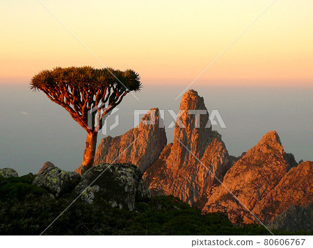 被夕陽染紅的索科特拉島美景 被夕陽染紅的索科特拉島美景 80606767