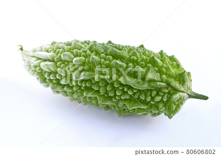 菜園的網橋苦瓜 菜園的網橋苦瓜 80606802