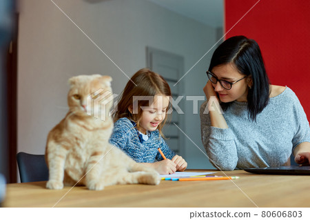 Mother working in her home office on a laptop, daughter sits draw, Scottish cat sitting nearby. 80606803