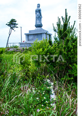 Michinoku Shiokaze Trail Teri Hanoi Rose 在仙台市若林區荒濱再生 80606962