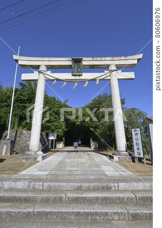 The torii gate of Sakatsura Isozaki Shrine and the approach covered with trees The torii gate of Sakatsura Isozaki Shrine and the approach covered with trees 80606976
