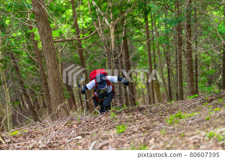 A woman climbing a steep slope (mountain girl) A woman climbing a steep slope (mountain girl) 80607395
