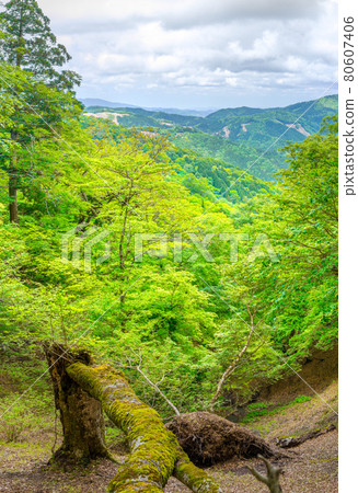 View of the middle of Mikuyasuyama, one of the 50 famous mountains of Shiso (Ichinomiya Town, Shiso City, Hyogo Prefecture) * Shooting position in the comment section of the work 80607406
