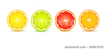 Citrus Slice Realistic Set 80607626