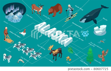 Alaska Isometric Flowchart 80607725