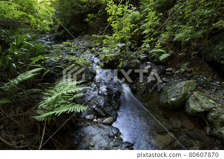 Scenery with a stream on Route 6 of Mt. Takao 80607870