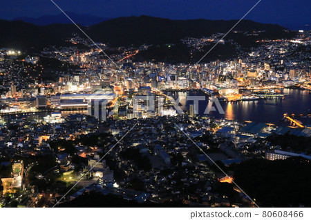 Inasayama night view 1 80608466