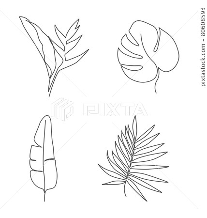 Linear tropical leaves_19 80608593