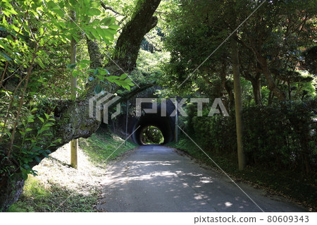 手挖隧道 80609343