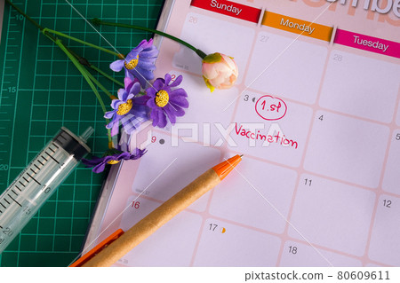 Appointment to vaccination on calendar to reminder. 80609611