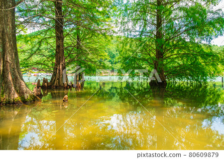 Greenpia春日井和禿柏的絕景<愛知縣春日井市> Greenpia春日井和禿柏的絕景<愛知縣春日井市> 80609879