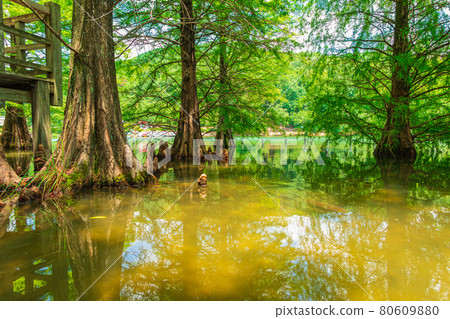 Greenpia春日井和禿柏的絕景<愛知縣春日井市> Greenpia春日井和禿柏的絕景<愛知縣春日井市> 80609880