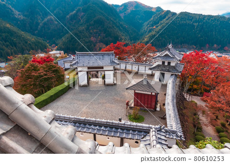 Gujo Hachiman Castle in autumn colors <Gujo City, Gifu Prefecture> Gujo Hachiman Castle in autumn colors <Gujo City, Gifu Prefecture> 80610253
