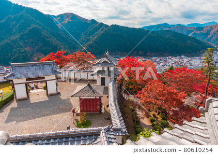 秋色中的郡上八幡城<岐阜縣郡上市> 秋色中的郡上八幡城<岐阜縣郡上市> 80610254