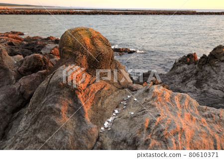 日落與樂庭十郎 80610371