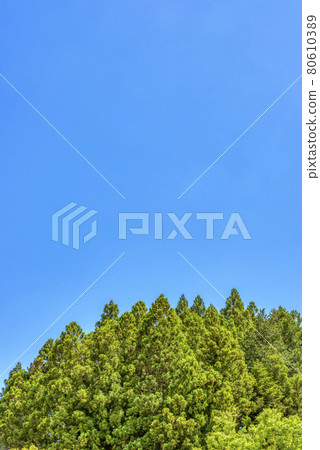 新綠森林宮瀨水壩湖神奈川縣 80610389