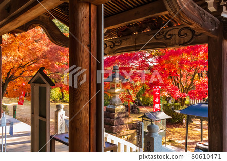 秋天的犬山Jakoin尾張紅葉寺<愛知縣犬山市> 秋天的犬山Jakoin尾張紅葉寺<愛知縣犬山市> 80610471