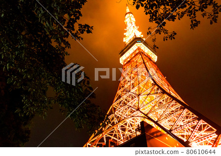 Tokyo Tower    80610644