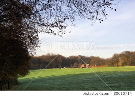 View on a field near the Dutch village Milsbeek View on a field near the Dutch village Milsbeek 80610714