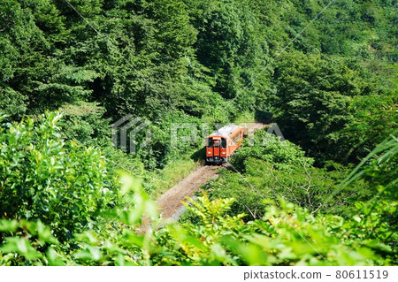 運行在山中的木月線單列火車 運行在山中的木月線單列火車 80611519