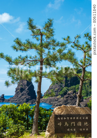 越前海岸 (Kochomon / Kochomon) 福井縣,攝於 2021 年夏季 越前海岸 (Kochomon / Kochomon) 福井縣,攝於 2021 年夏季 80611840