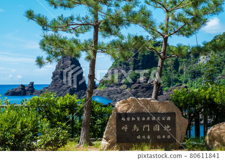越前海岸 (Kochomon / Kochomon) 福井縣，攝於 2021 年夏季 80611841