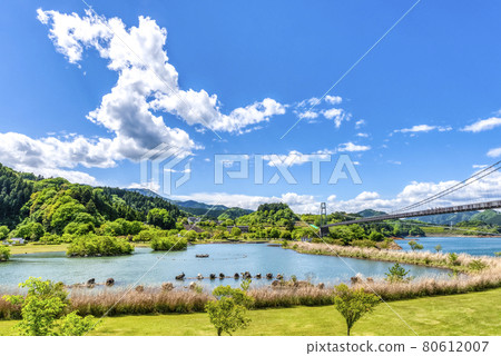 Spring Miyagase Lakeside Park, Kanagawa Prefecture 80612007