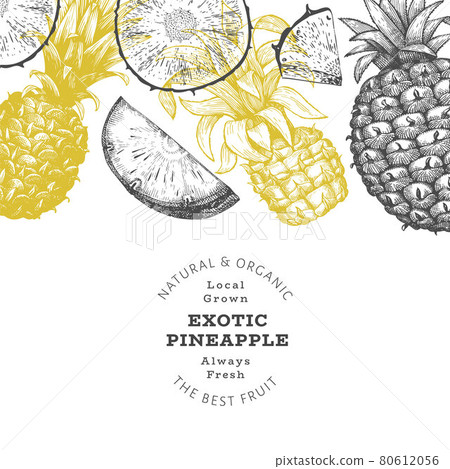 Hand drawn sketch style pineapple banner. Organic fresh fruit vector illustration. Engraved style botanical design template. Hand drawn sketch style pineapple banner. Organic fresh fruit vector illustration. Engraved style botanical design template. 80612056