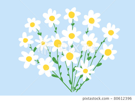 Camomile bouquet in doodle flat style isolated on soft blue background. Beautiful floral composition. Vector illustration. 80612396