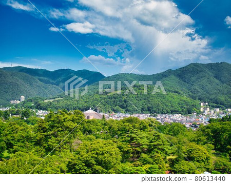 會津若松市敦賀城公園和會津街景 80613440