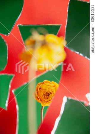 Withered yellow flower against pieces shattered glass 80613553