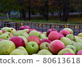 Apple in Tsugaru 80613618