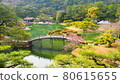 季節性池塘 80615655