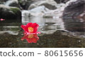 一朵花流過河 80615656