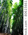 夏季京都嵐山竹林 80615661