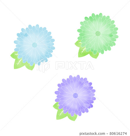 水彩風格冷色菊花圖標集 80616274