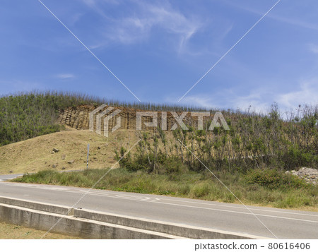 台灣大果野柱狀玄武岩 80616406