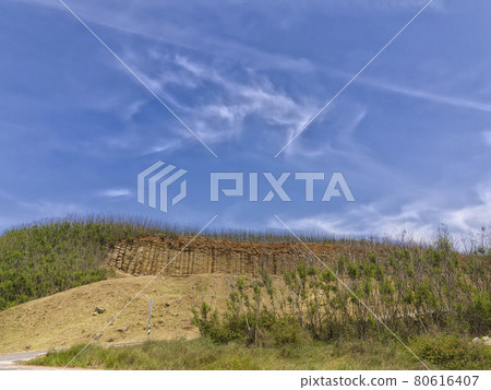 台灣大果野柱狀玄武岩 80616407