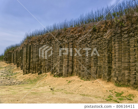 台灣大果野柱狀玄武岩 80616411