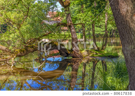 river, tree, reflection of trees in the water in the park of weissenstein castle Germany, Bavaria, Weissenstein Palace in Pommersfelden river, tree, reflection of trees in the water in the park of weissenstein castle Germany, Bavaria, Weissenstein Palace in Pommersfelden 80617838