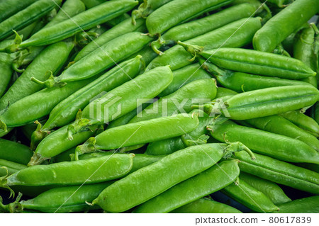 Fresh green pods or peas rotating. Peas background. Top view 80617839