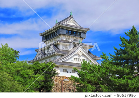 [Fukuoka Prefecture] Kokura Castle castle tower under sunny weather 80617980
