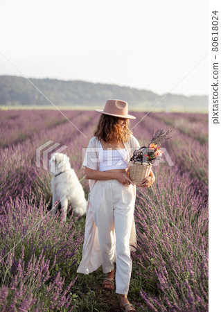 Woman walking with pet on lavender field Woman walking with pet on lavender field 80618024