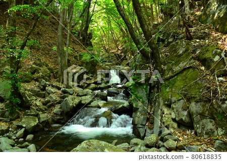 Fresh green Tokuwa Valley 80618835