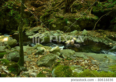 Fresh green Tokuwa Valley 80618836