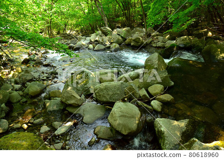 Fresh green Tokuwa Valley Fresh green Tokuwa Valley 80618960